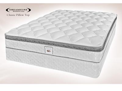 Dreamstar CLASSIC COLLECTION Classic Pillow Top