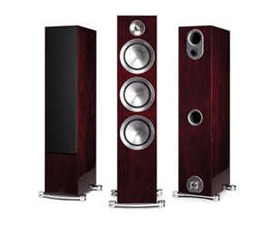 Floor Standing Speakers